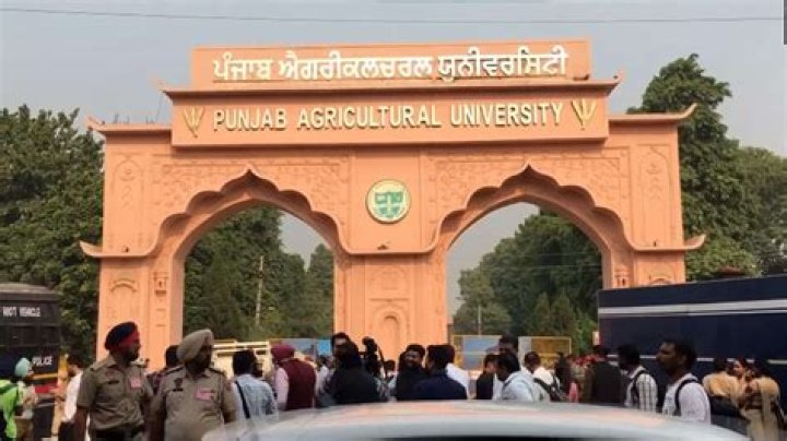 Discovering PAU Prim: A Look at Punjab Agricultural University's Core Impact