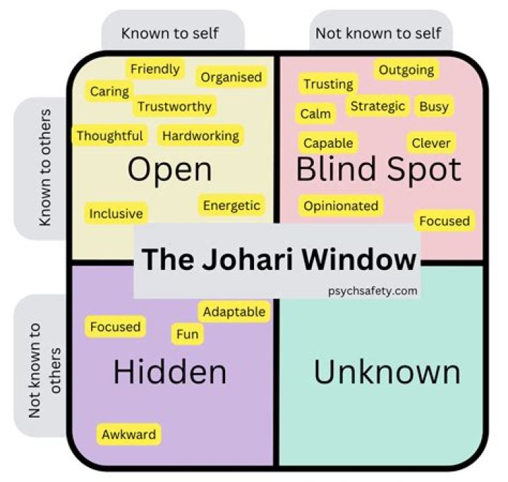 Discovering Sowte: Your Anonymous Window to Twitter