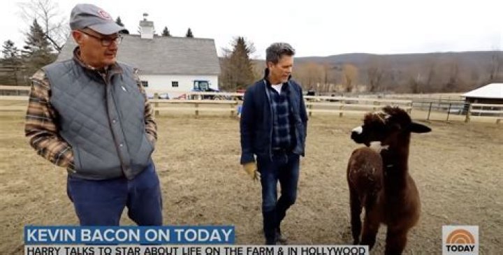Does Kevin Bacon Have a Twin Brother? Unraveling a Popular Celebrity Question