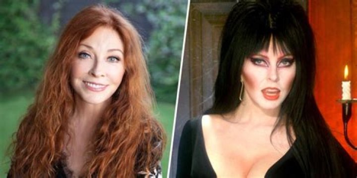 Elvira Actress Cassandra Peterson: From Horror Host to Pop Culture Icon Today