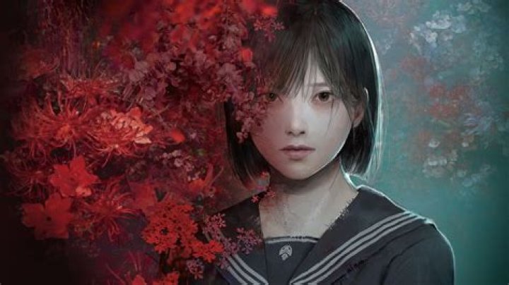 Exploring Hentai: Art, Stories, and Community in Japanese Animation