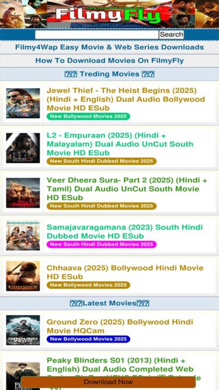 Exploring site:filmyfly.xyz – Your Hub for Digital Content Management and Optimization