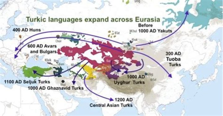 Exploring Turk Sotwe: Understanding Turkish Identity and Culture