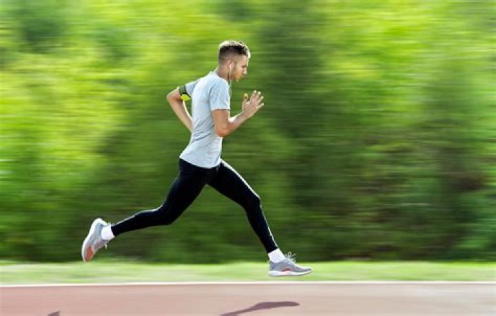 Find Anyone Quickly: Your Guide to a Fast People Search Engine