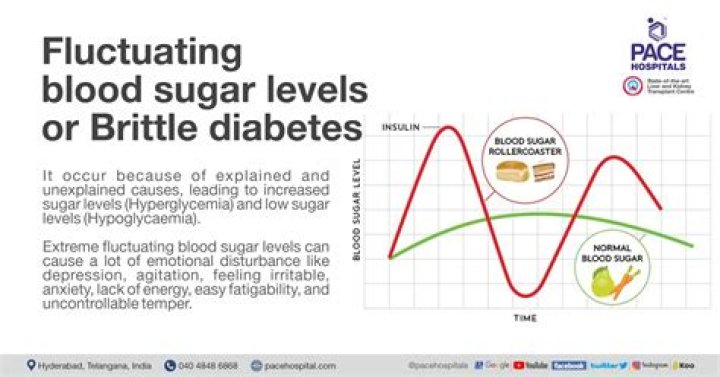 Funpom: A Joyful Path to Stable Blood Sugar and Lasting Wellness