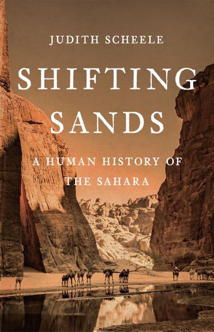 Sotwe Turk Ifsa: Navigating the Shifting Sands of Online Content Access