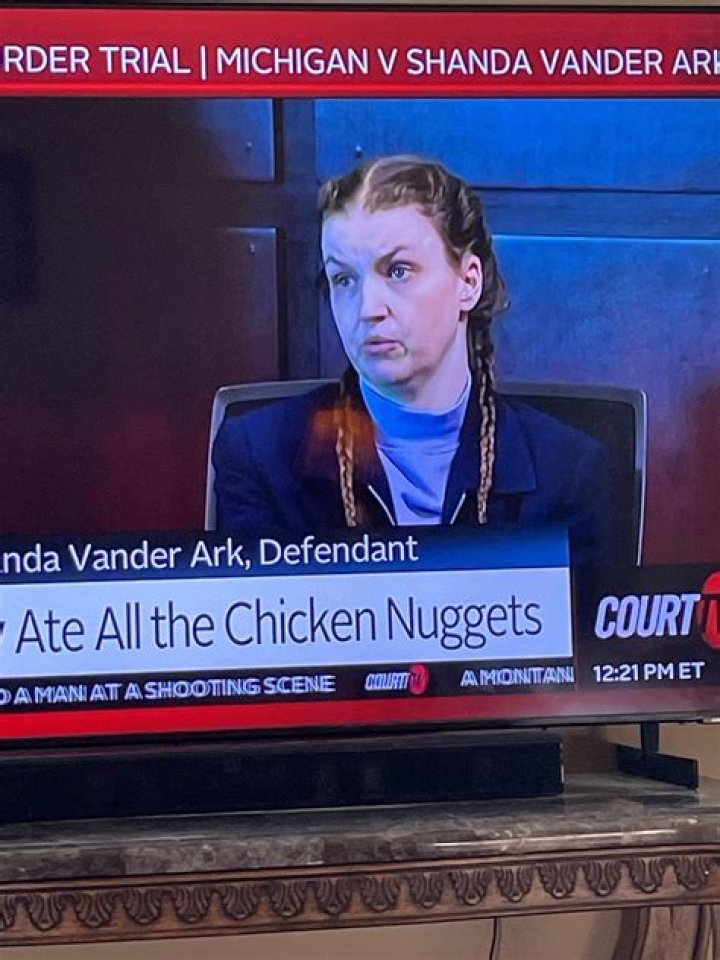 The Shanda Vander Ark Story: A Look Into a Tragic Michigan Case