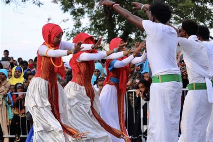 Unpacking Niiko Wasmo: Exploring the Rhythms of Somali Dance Culture Today