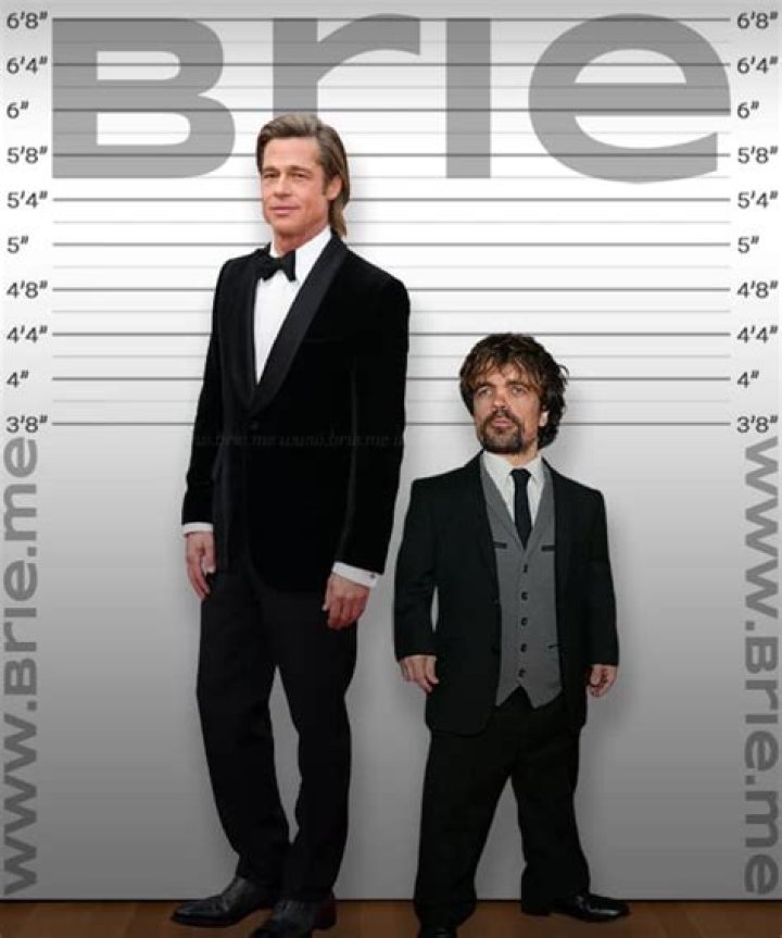 Unpacking the Buzz Around Brad Pitt Height: What Makes Fans Curious?